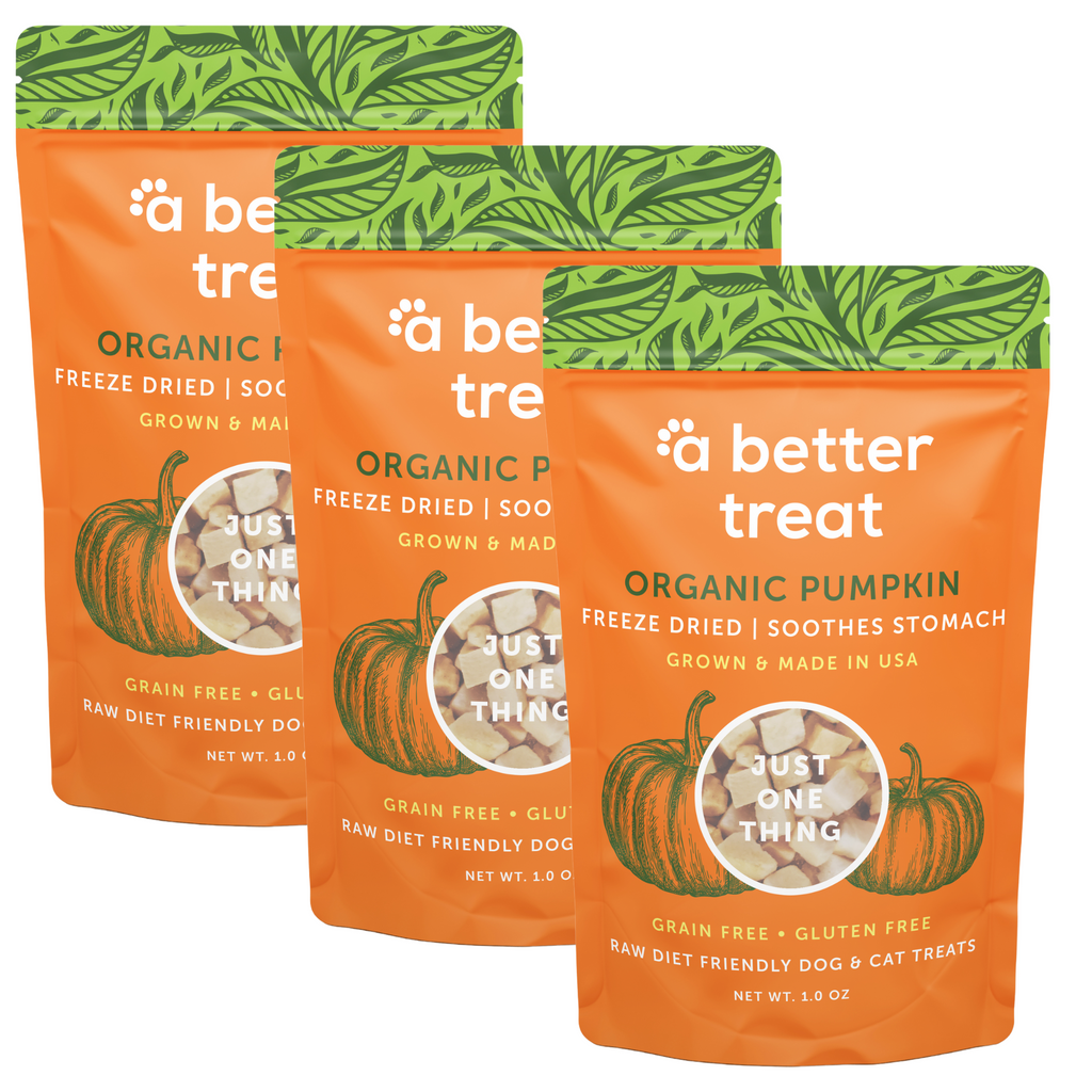 3 Pack - Freeze Dried Raw USDA Organic Pumpkin Dog and Cat Treats