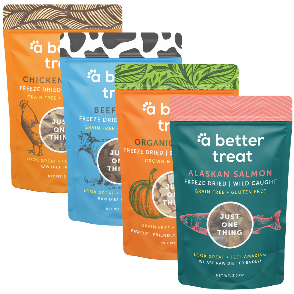 4 Pack - Freeze Dried Raw Salmon, Pumpkin, Beef, Chicken Dog and Cat Treats