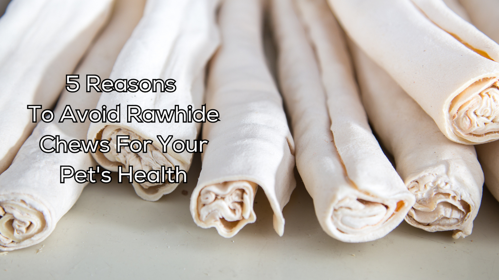 3 Reasons to Avoid Rawhide Chews for Your Pet