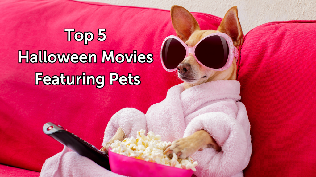 Top 5 Halloween Movies Featuring Pets