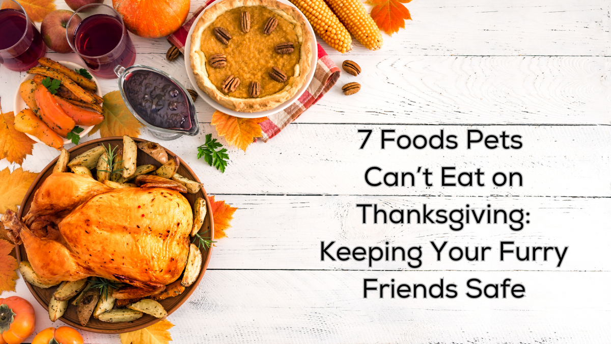 7 Foods Pets Can’t Eat on Thanksgiving Keep Your Furry Friends Safe