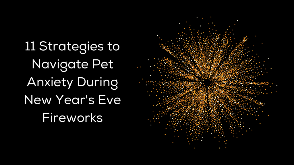 11 Strategies to Navigate Pet Anxiety During New Year's Eve Fireworks