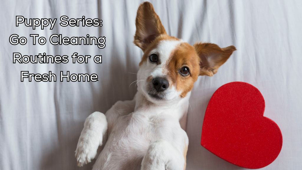 Puppy Series: Go To Cleaning Routines for a Fresh Home
