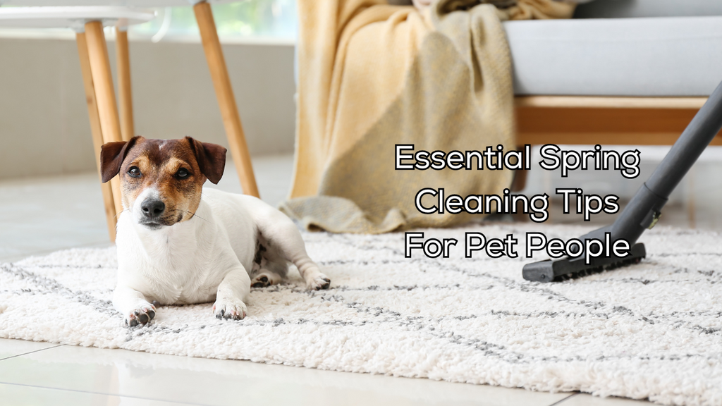 Top 7 Essential Spring Cleaning Tips For Pet People