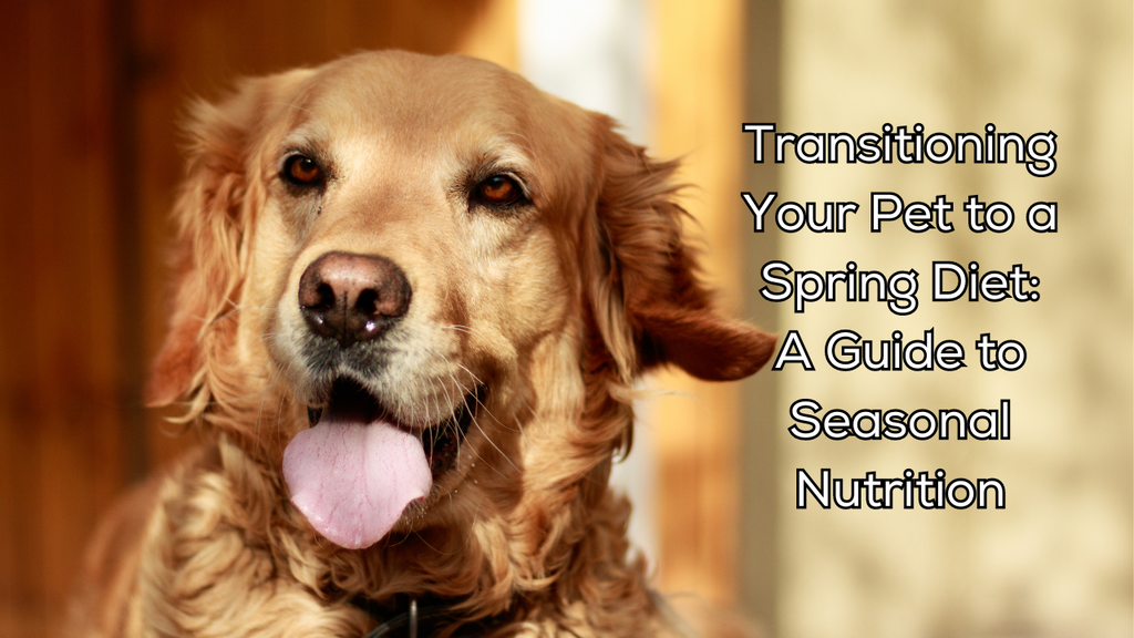 Transitioning Your Pet to a Spring Diet: A Guide to Seasonal Nutrition