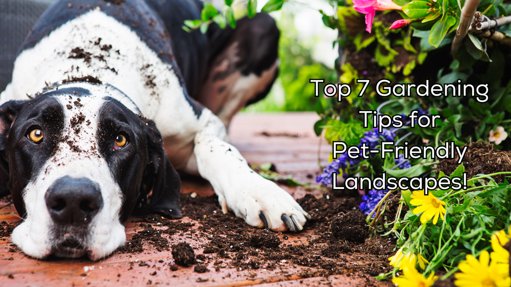 Top 7 Gardening Tips for Pet-Friendly Landscapes!
