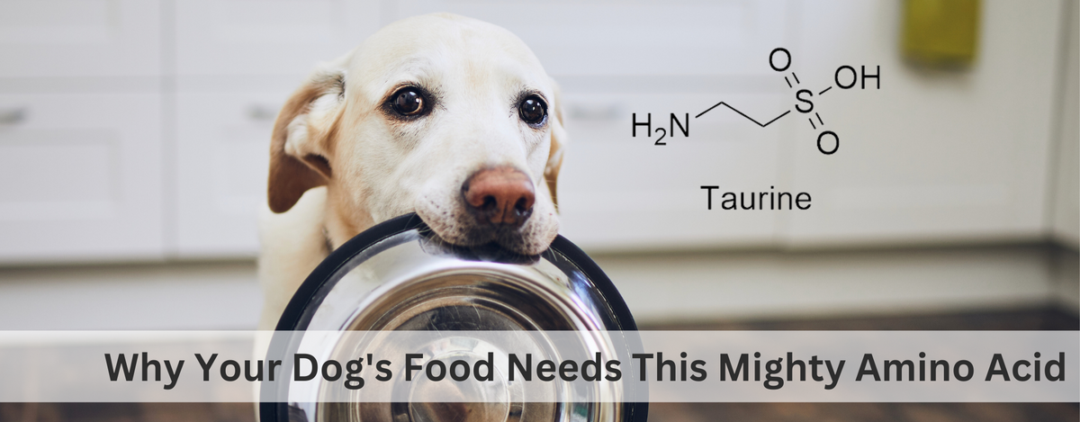 Taurine in top dog food