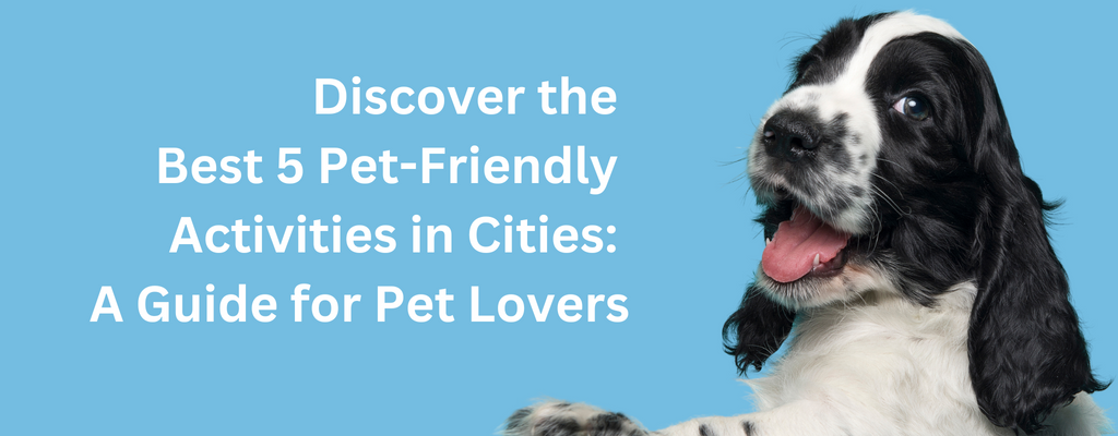 Discover the Best 5 Pet-Friendly Activities in Cities: A Guide for Pet Lovers