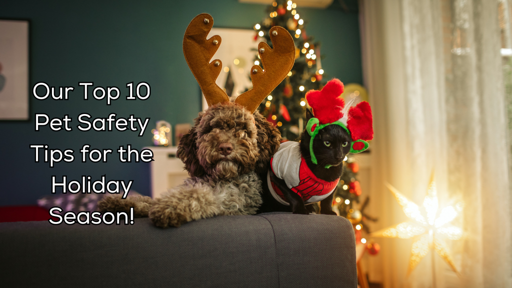 Our Top 10 Pet Safety Tips for the Holiday Season!