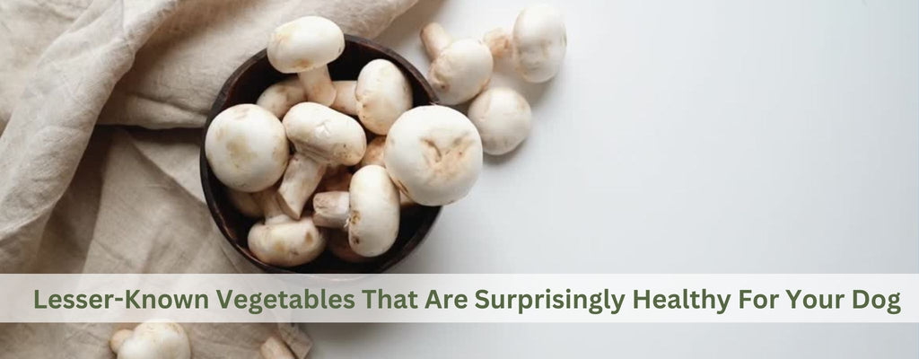Lesser-Known Vegetables That Are Surprisingly Healthy For Your Dog