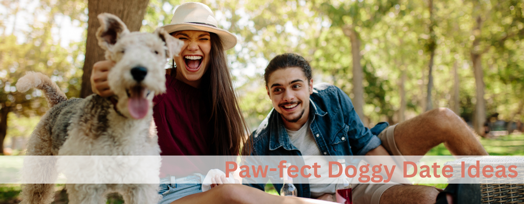 Paw-fect Date Ideas: Celebrate Valentine's Day with Your Dog!