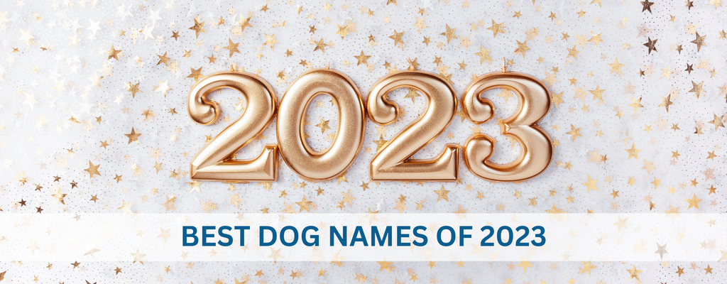 Best Dog Names of 2023