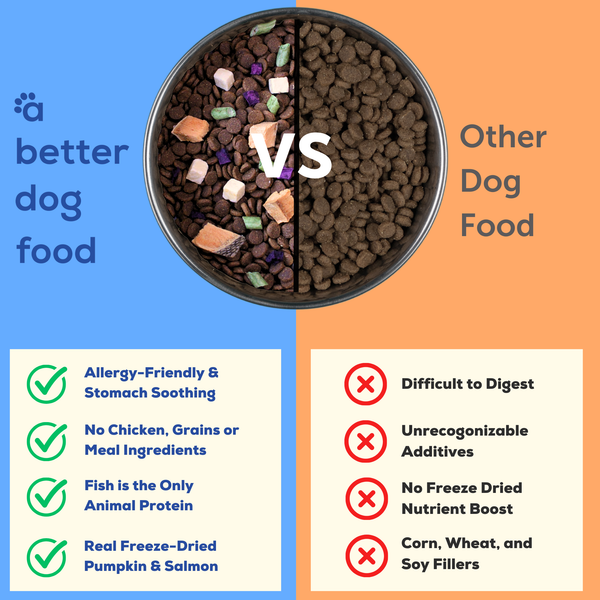 A Better Dog Food - Allergy Friendly Ocean Blend | No Chicken, Only Fish Animal Protein, No Meal Ingredients, Grain Free | Raw You Can See