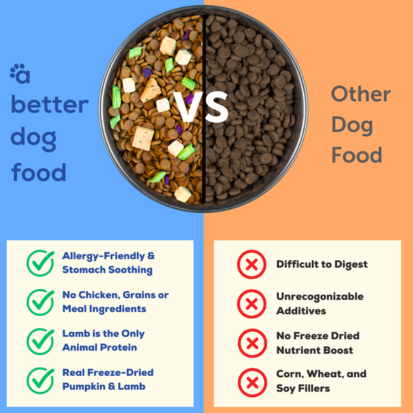 A Better Dog Food - Allergy Friendly Lamb | No Chicken, Only Lamb Animal Protein, No Meal Ingredients, Grain Free | Raw You Can See