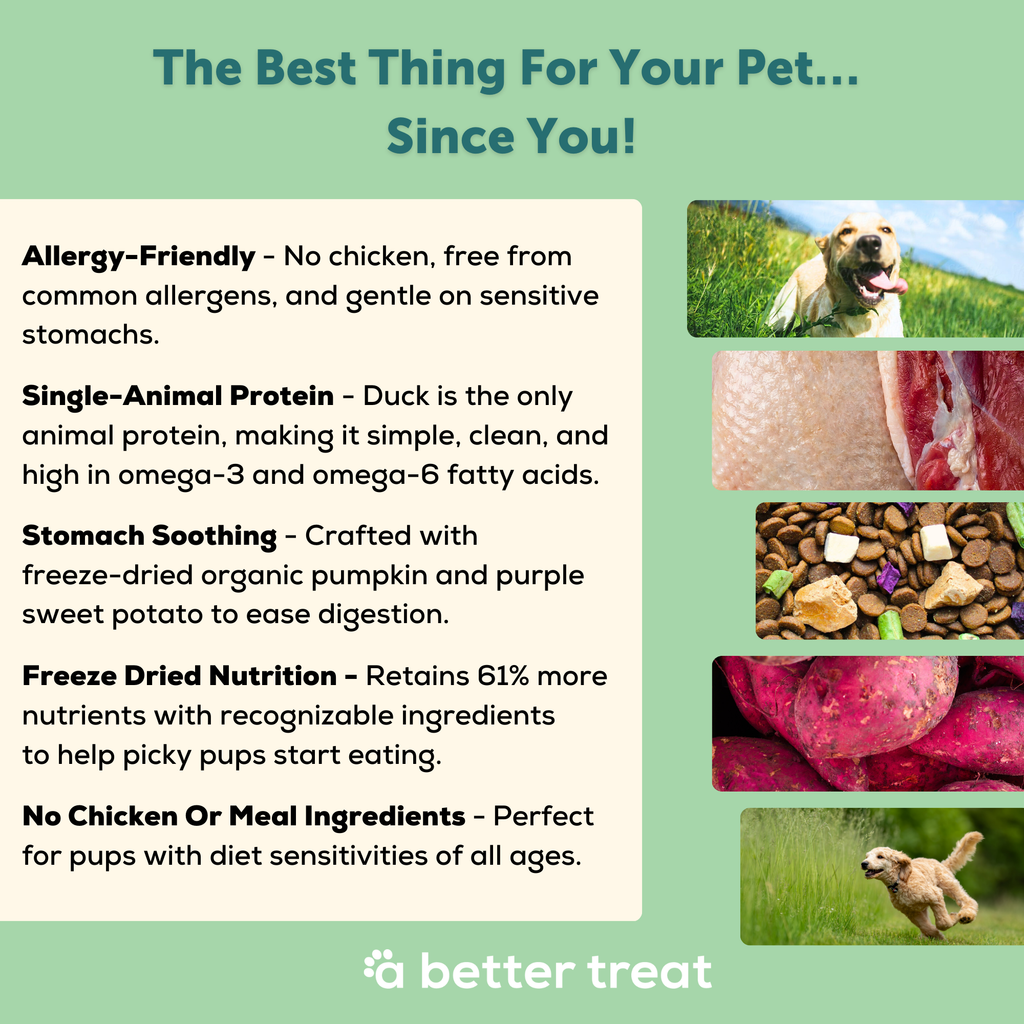 A Better Dog Food | Duck| Raw You Can See | Freeze Dried Raw + Allergy  Friendly Kibble Dog Food | No Chicken | Only Duck Animal Protein | No Meal  Ingredients
