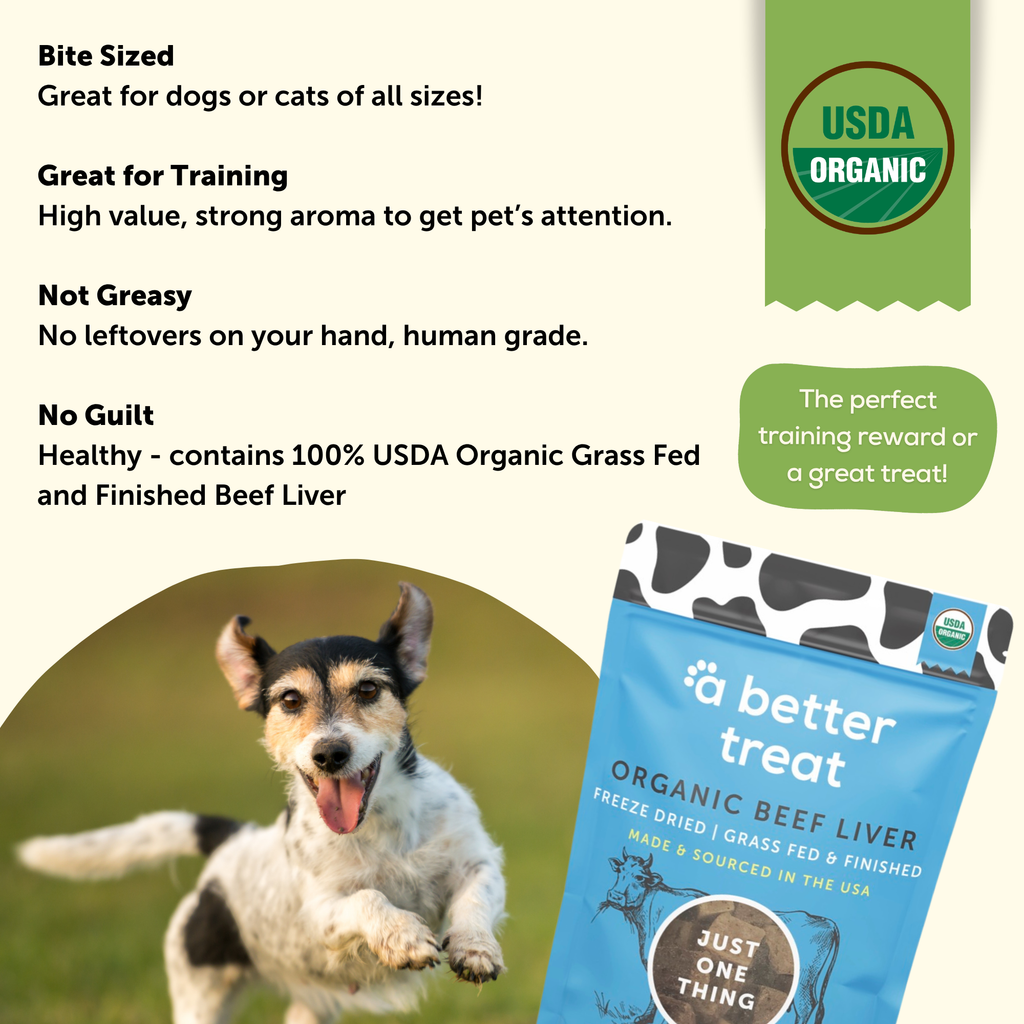 Berta Bites Freeze-Dried Beef Liver Dog Treats - Grass-Fed Angus, Single Ingredient - View #6