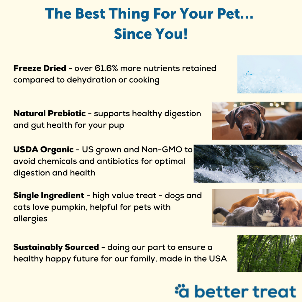 Best high reward dog treats clearance