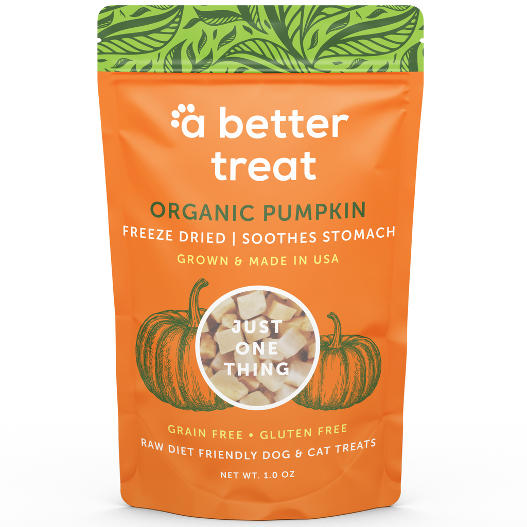 Freeze Dried Raw USDA Organic Pumpkin Dog and Cat Treats