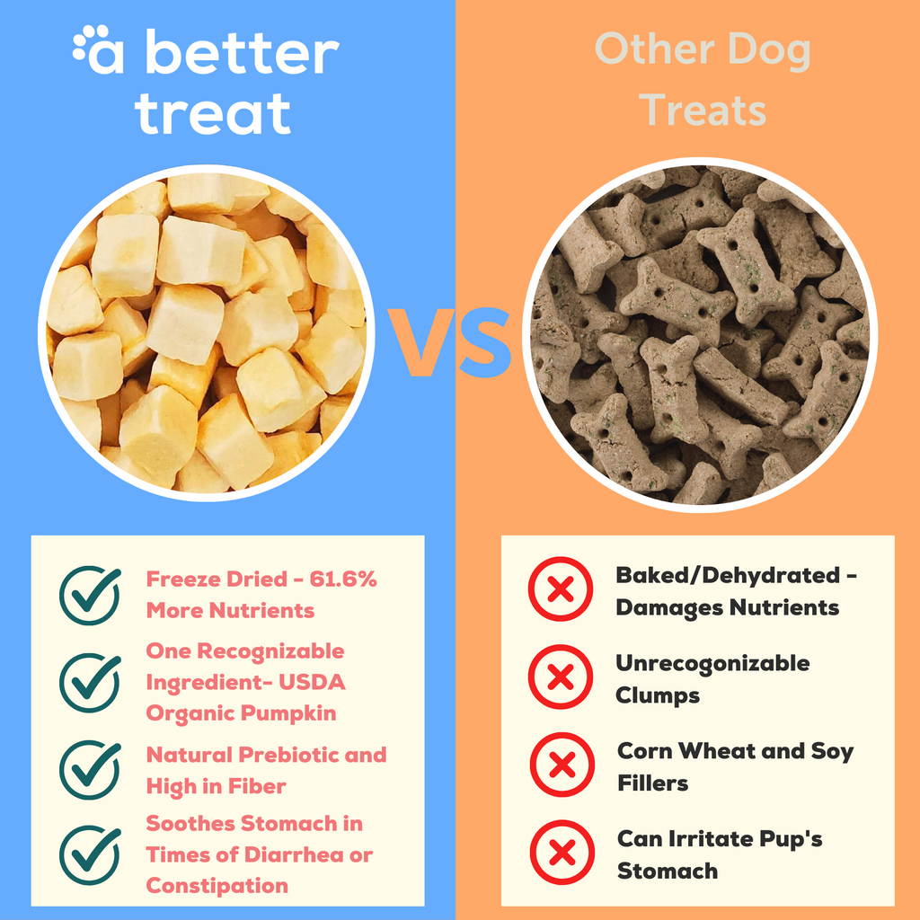 Organic pumpkin for dogs online