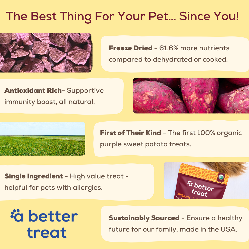 Health Benefits Purple Sweet Potato For Dogs A Better Treat Freeze