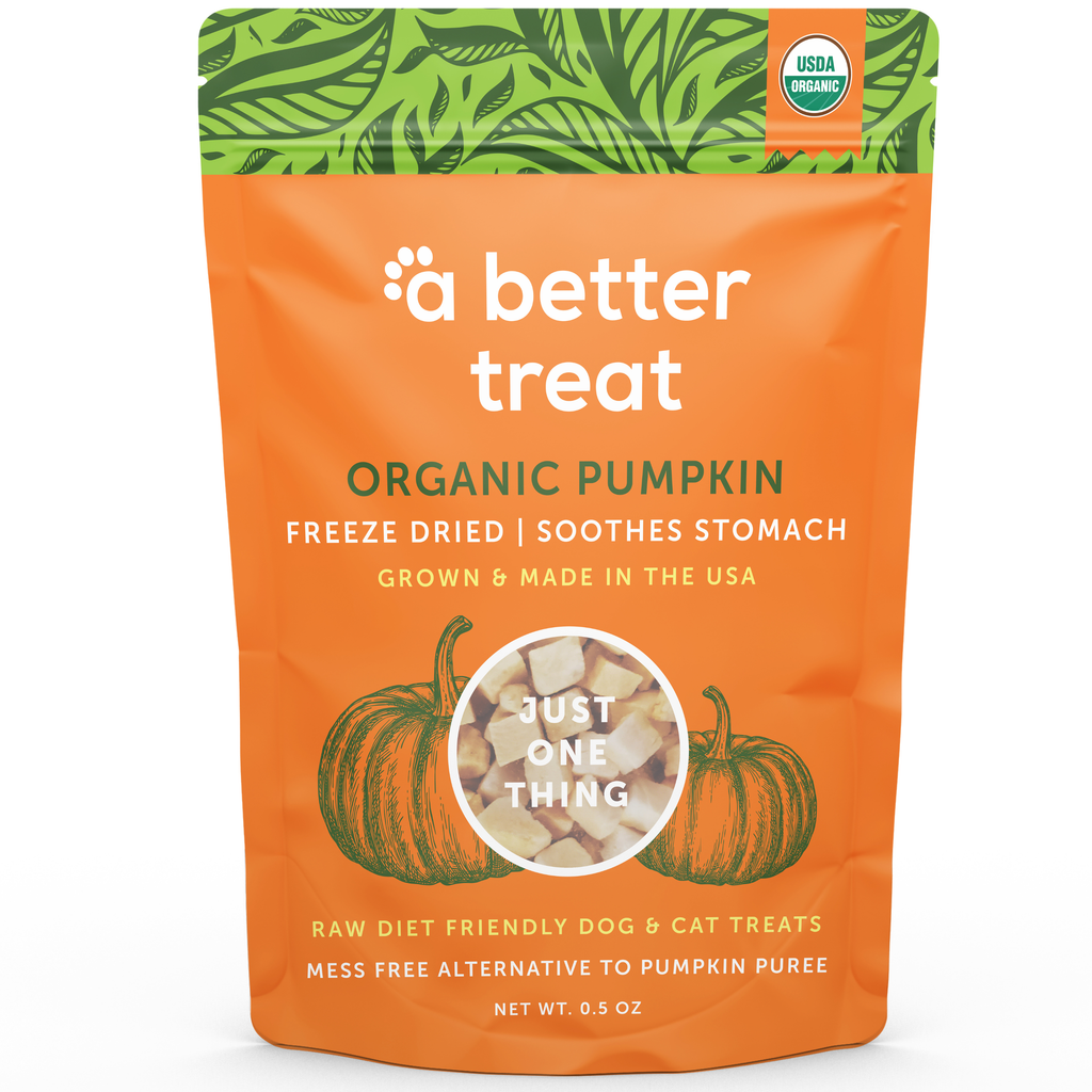 Freeze Dried Raw USDA Organic Pumpkin Dog and Cat Treats