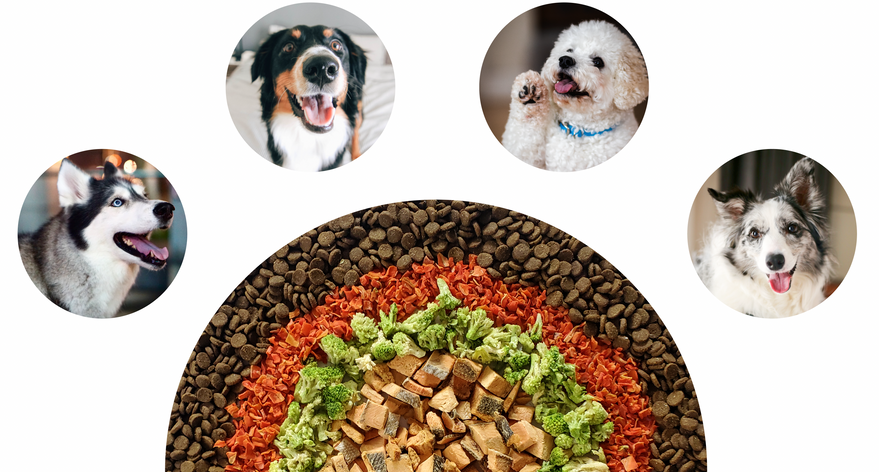 A Better Treat, Freeze-Dried Pet Treats
