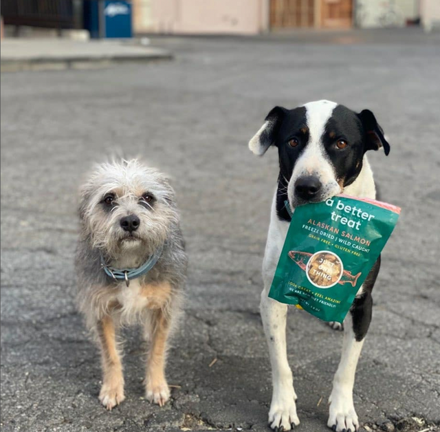 Natural Dog Treats, Dog Training Treats