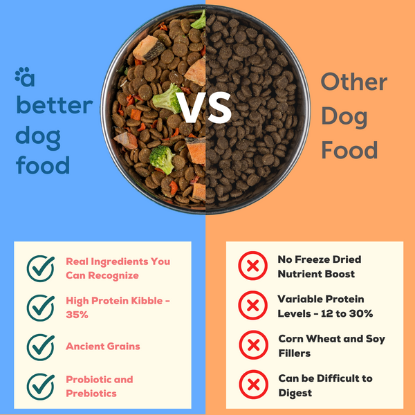 A Better Dog Food Salmon - Raw You Can See