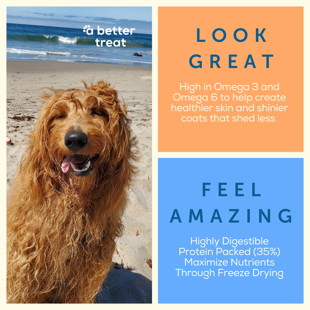 Dog food high in omega 3 and 6 hot sale