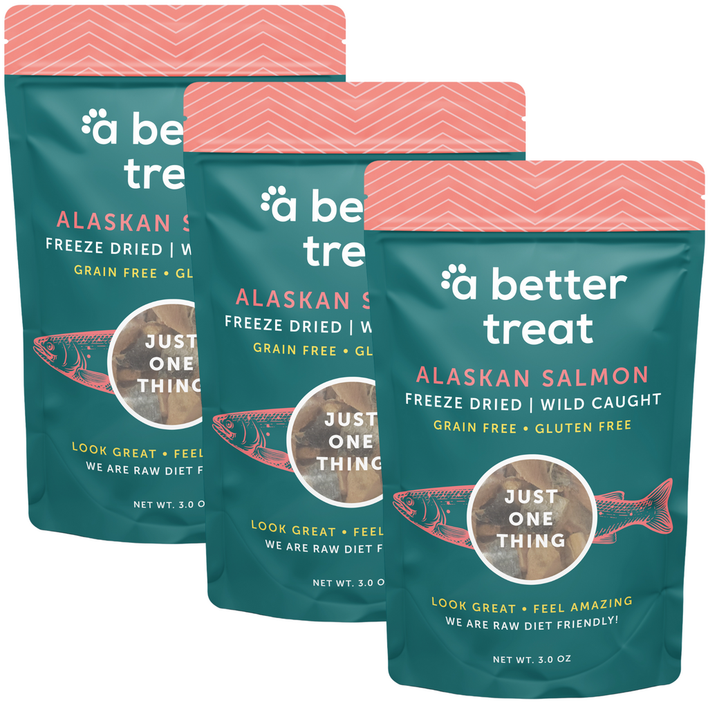 3 Pack - Freeze Dried Raw Wild Caught Salmon Dog and Cat Treats